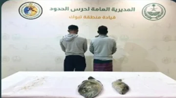 حرس الحدود بتبوك يضبط بنغاليين لخرقهما قواعد السلامة البحرية في عرض البحر